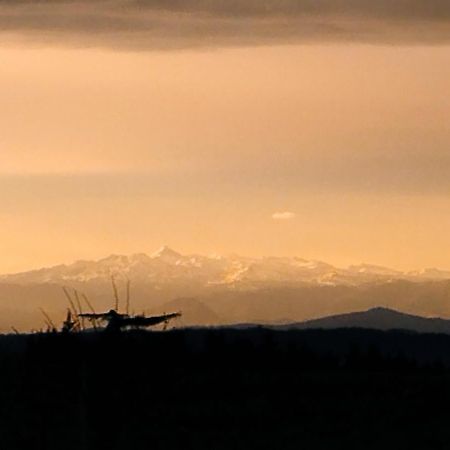 Appartement, Vue Sur Les Pyrenees Pouillon Zewnętrze zdjęcie