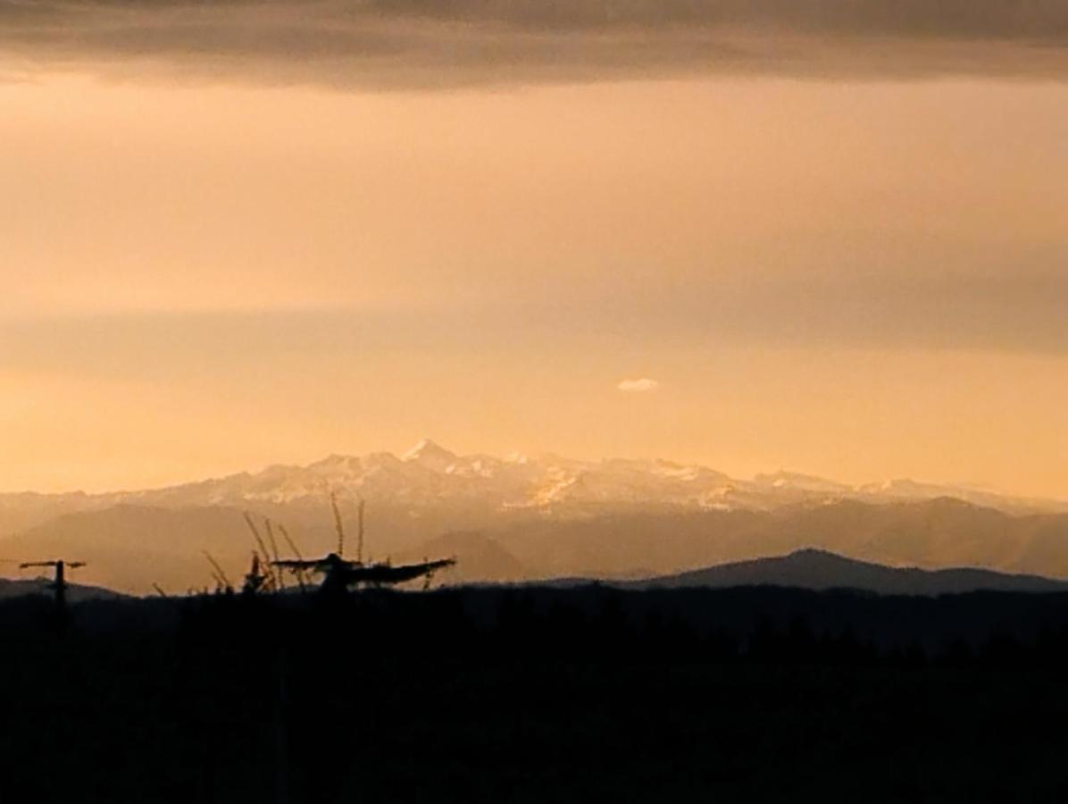 Appartement, Vue Sur Les Pyrenees Pouillon Zewnętrze zdjęcie
